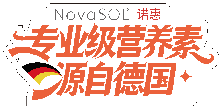 诺惠 NovaSOL 品牌标识